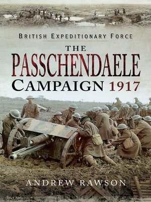 cover image of The Passchendaele Campaign, 1917